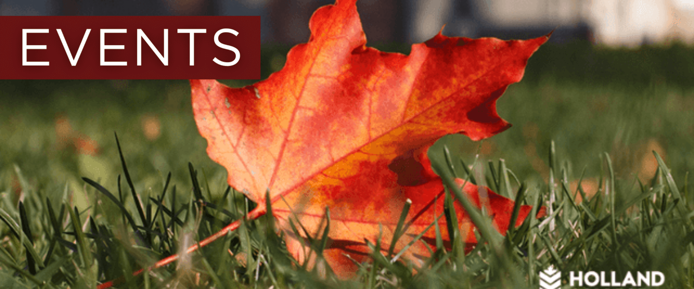 Holland College Events